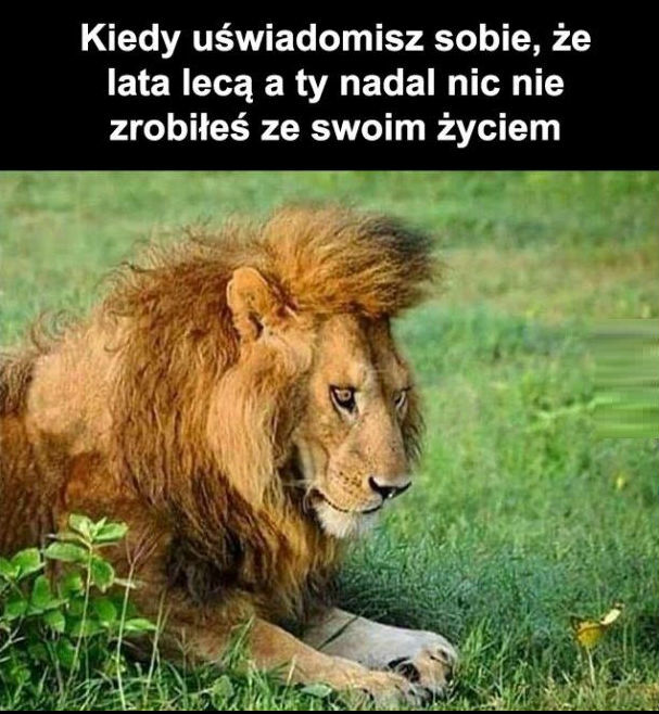 Starzejemy się