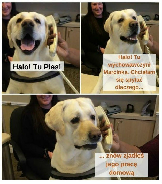 Niespodziewany telefon 