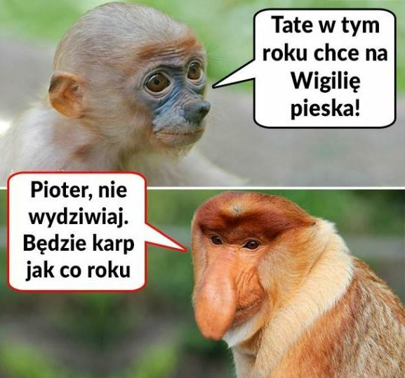 Świąteczne prezenty