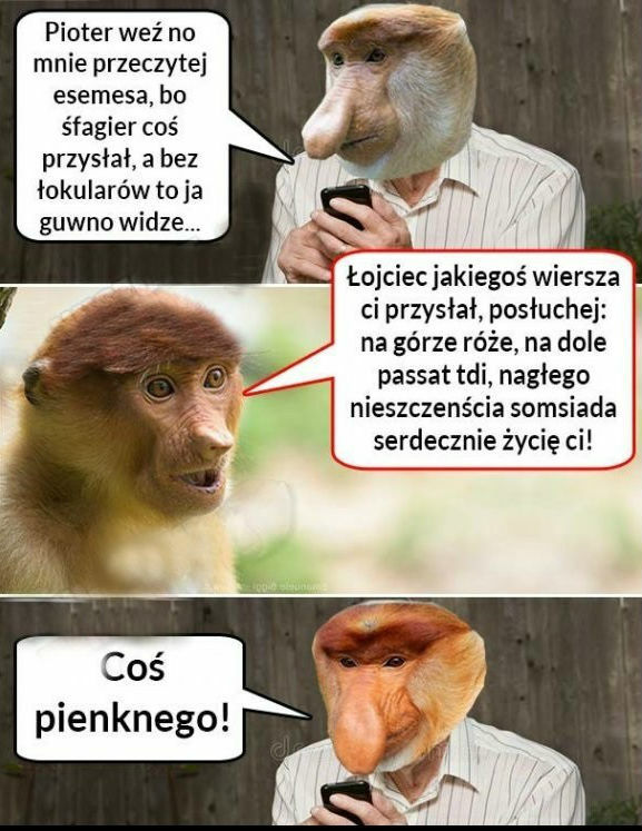 Kiedy Janusz dostaje smsa