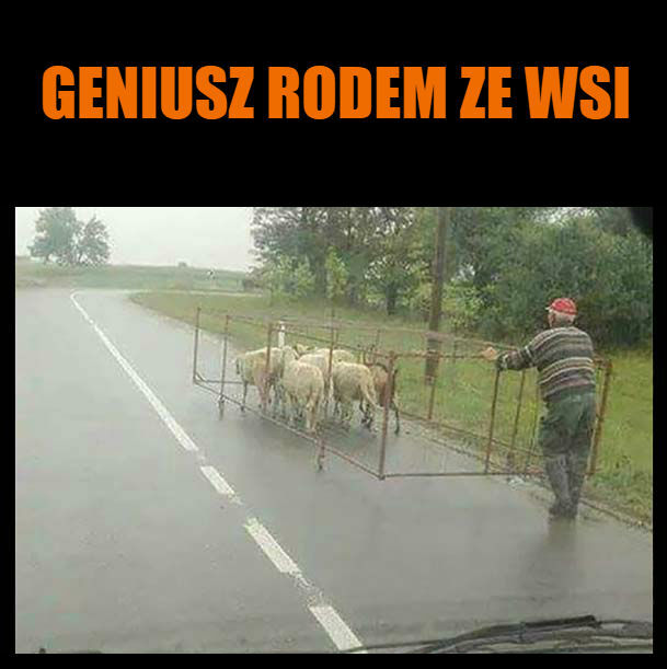 Geniusz rodem ze wsi
