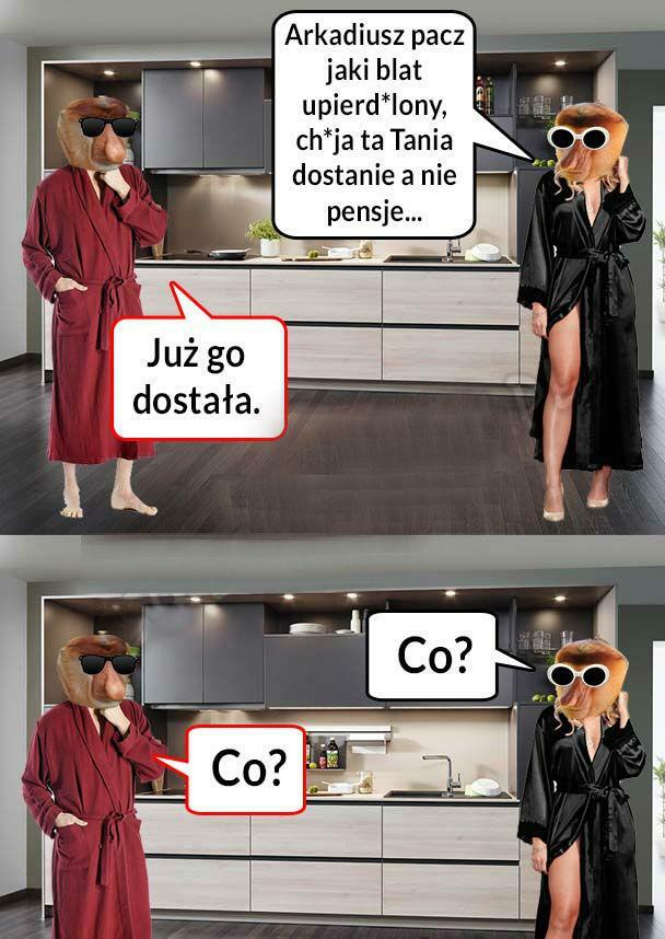 Historia o Tani :D
