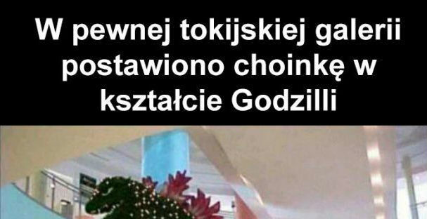 Mistrzowska choinka :D