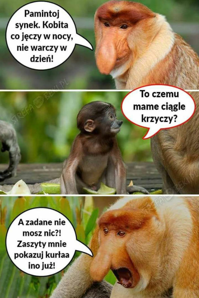 Poważna rozmowa Janusza z synem