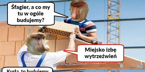 Pracujący Janusz