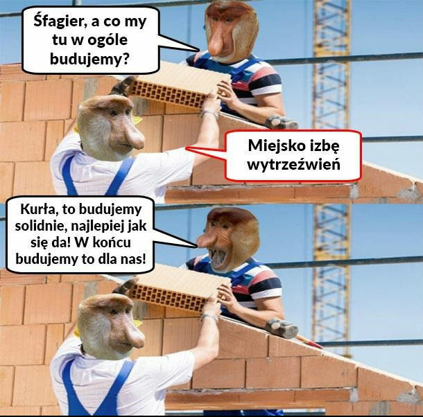 Pracujący Janusz