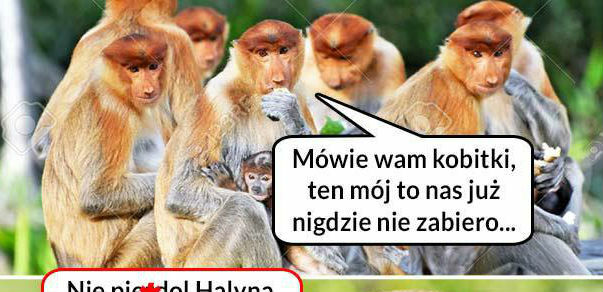 Podróże z Januszem