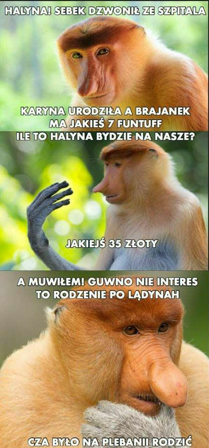 Kiedy Karyna urodzi bombelka :D