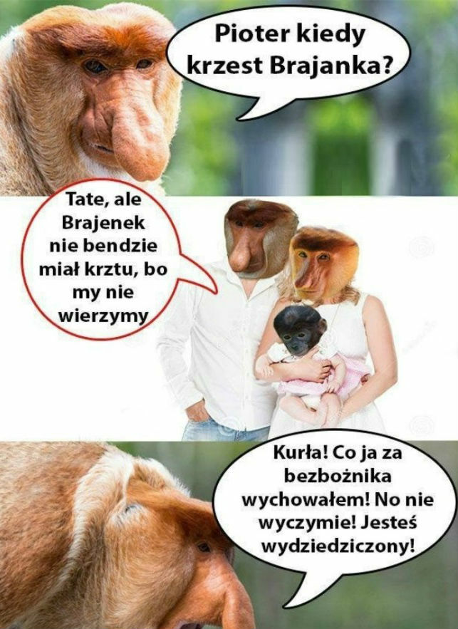 No to się Janusz przeliczył
