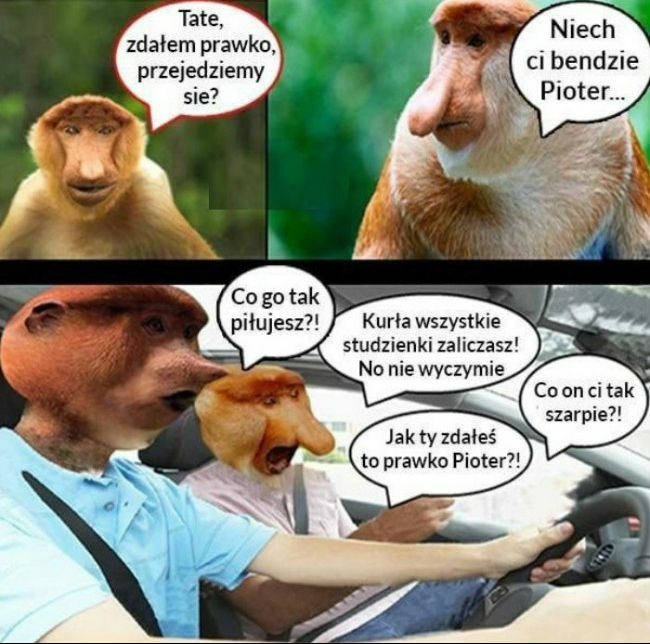 Janusz i powód do dumy