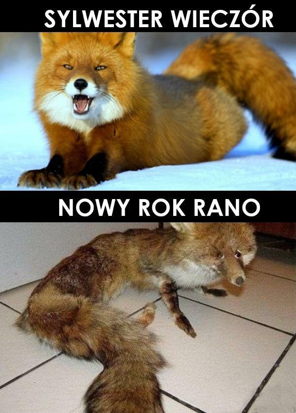 Sylwester wieczór vs nowy rok rano :D