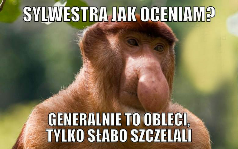 Jak Janusz ocenia Sylwestra :D