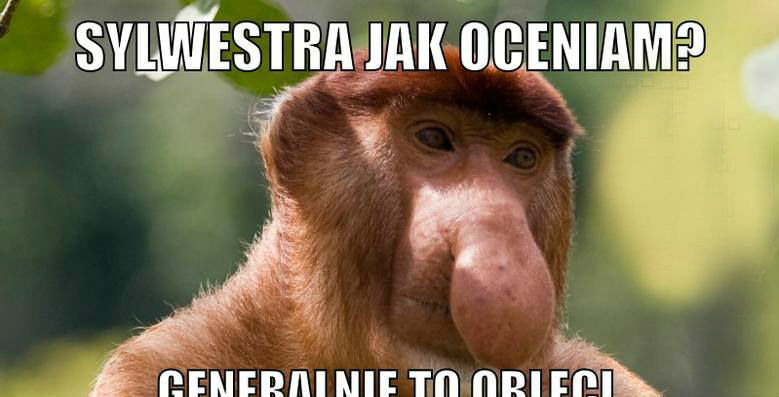 Jak Janusz ocenia Sylwestra :D