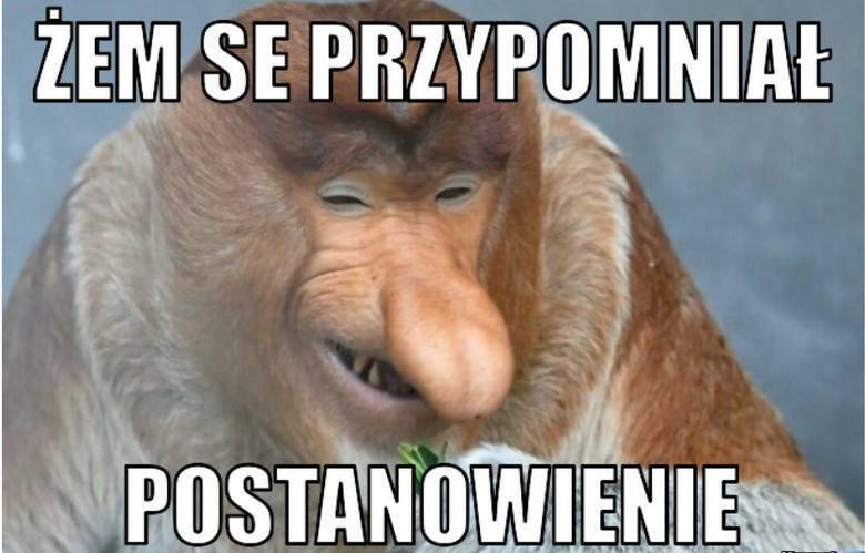 Janusz sobie przypomniał :D