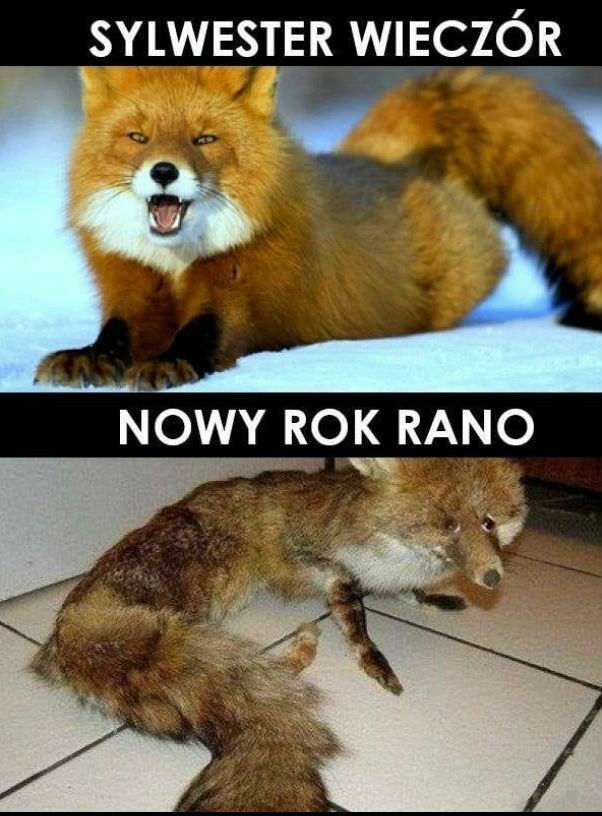 Tak pewnie właśnie było