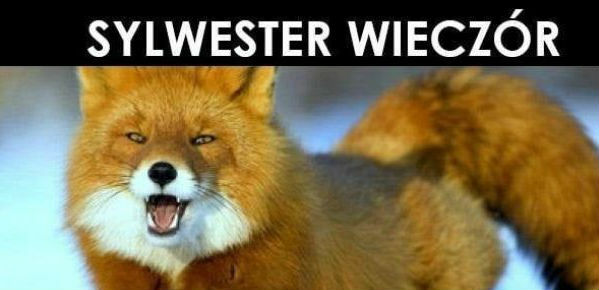 Tak pewnie właśnie było