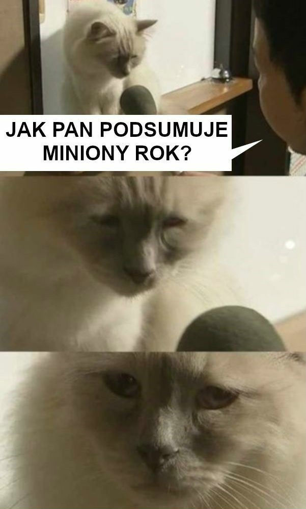 Interesująca rozmowa