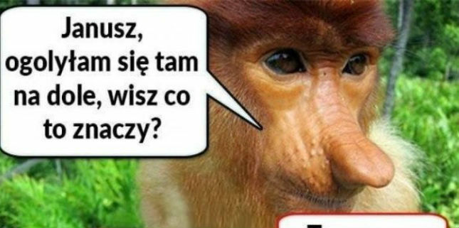 Kiedy chcesz wypaść jak najlepiej