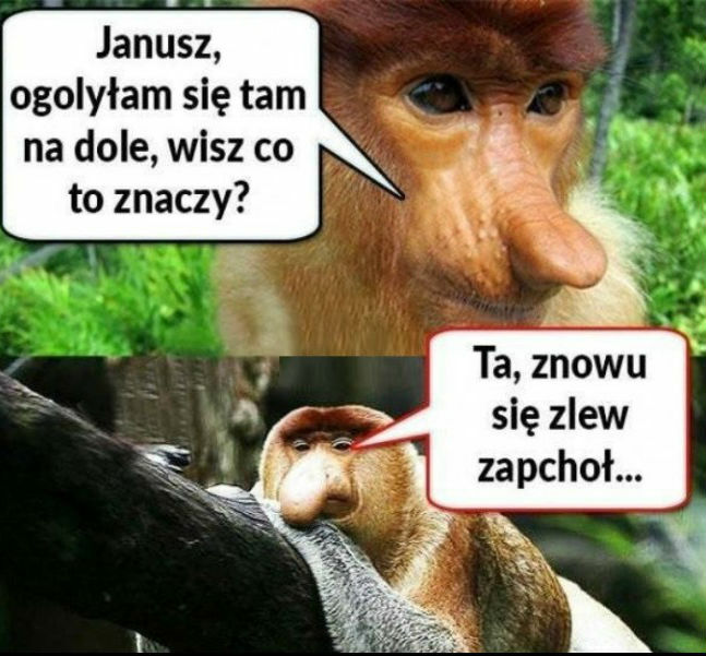 Kiedy chcesz wypaść jak najlepiej