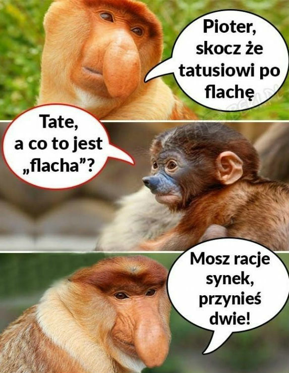 Janusz i jego problemy