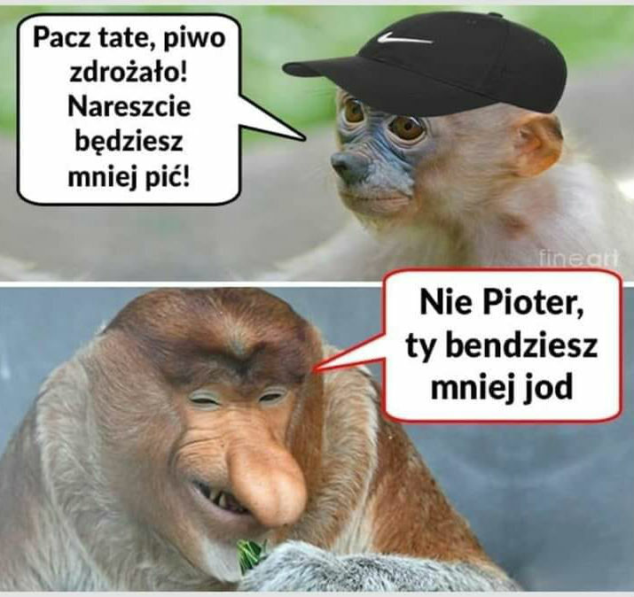 Nadzieja matką głupich