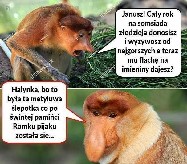 Pamięć bywa ulotna