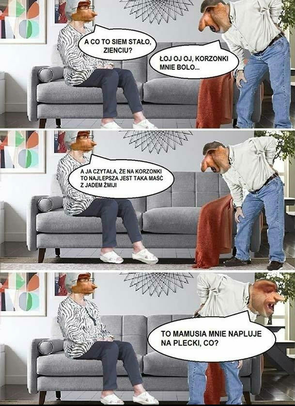 Janusz i teściowa