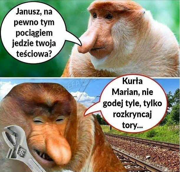 Intryga Janusza