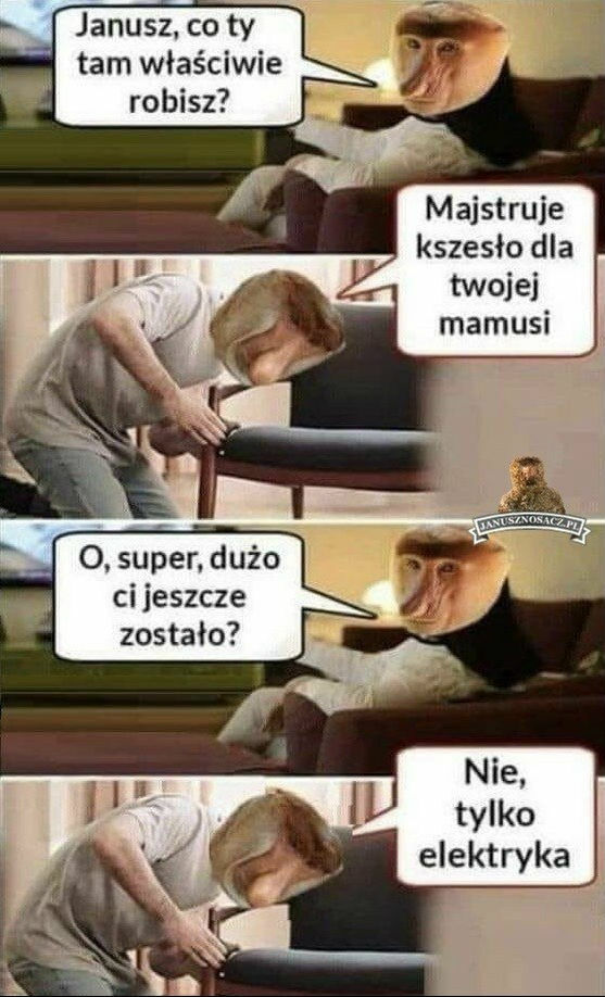 Janusz złota rączka