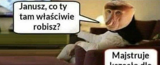Janusz złota rączka