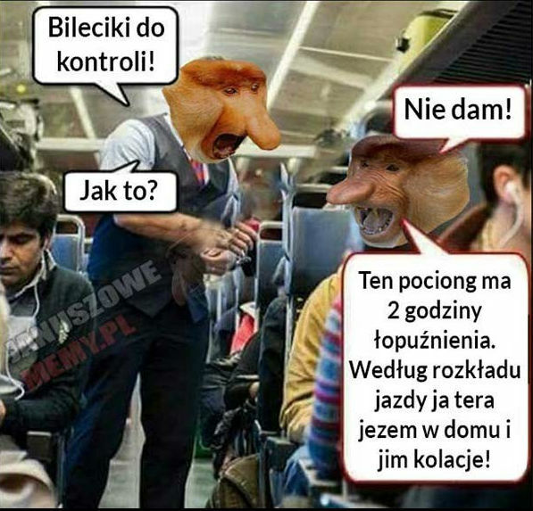 Pech Janusza
