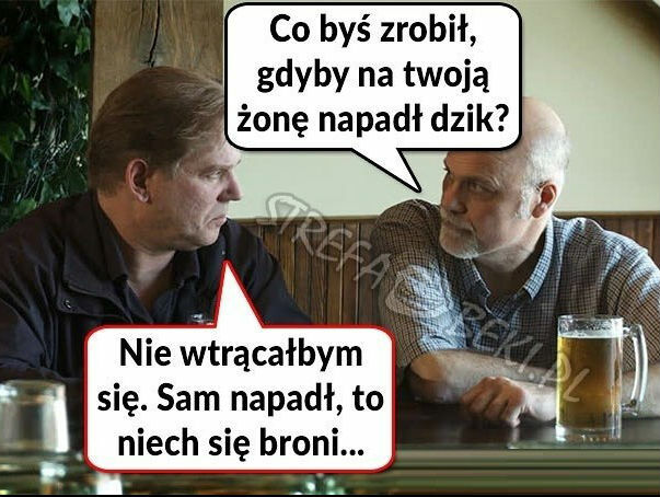 Pogawędka z przyjacielem
