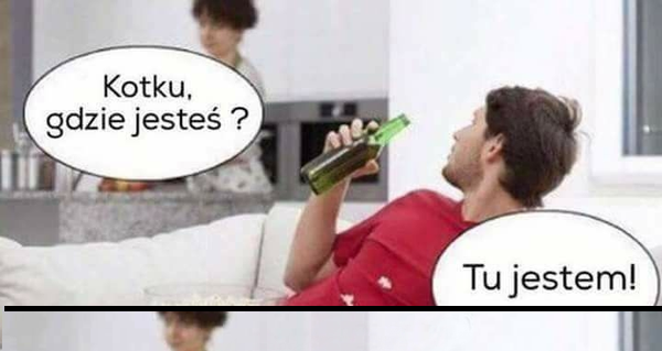Gdzie jest kotek? :D