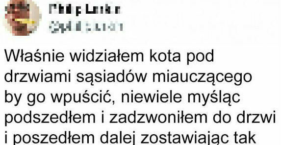 Magiczny koteczek :D