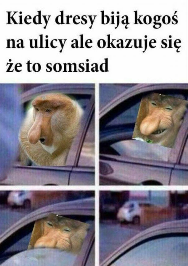 Co za zachowanie!