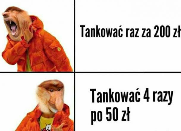 I ja go rozumiem