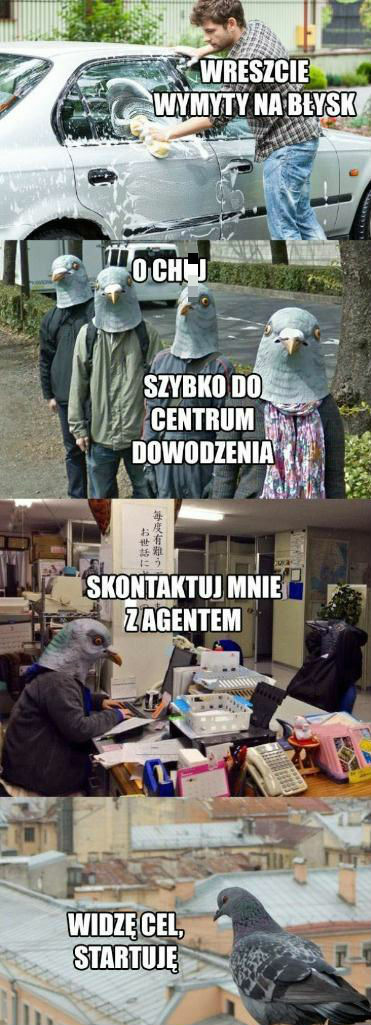 Zmasowany atak gołębi :D