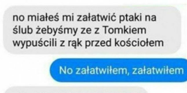 Kiedy miałeś wszystko załatwić