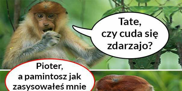Czy cuda się zdarzają?