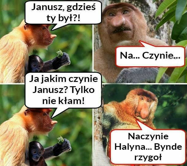 Janusz i jego kłopoty