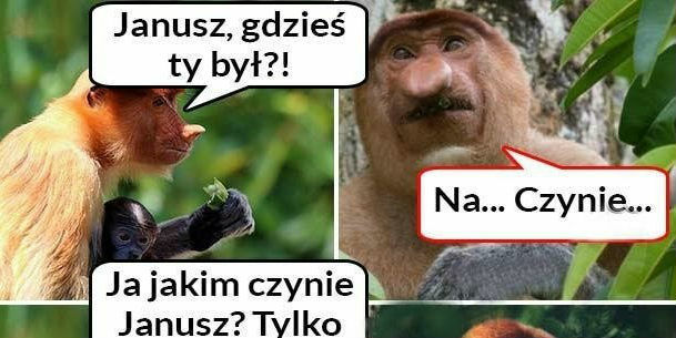 Janusz i jego kłopoty