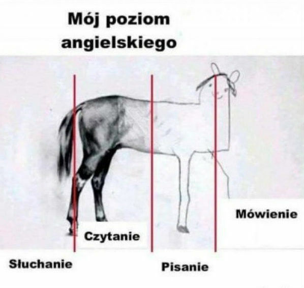 Nigdy nie byłem poliglotą 