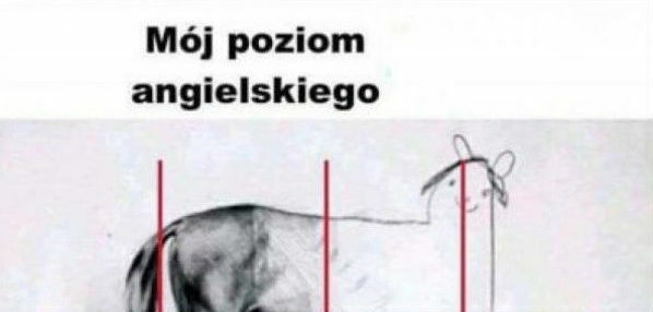 Nigdy nie byłem poliglotą 