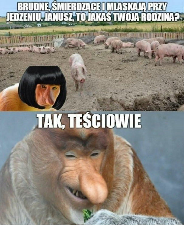 Niewychowany Janusz