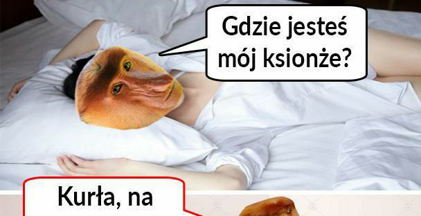 Książę na białym koniu :D