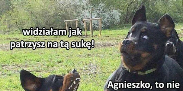 Zazdrość!