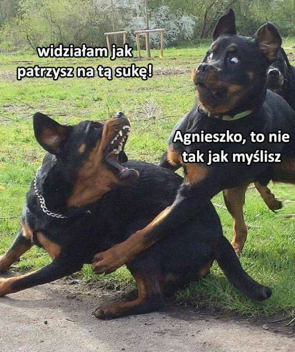 Zazdrość!