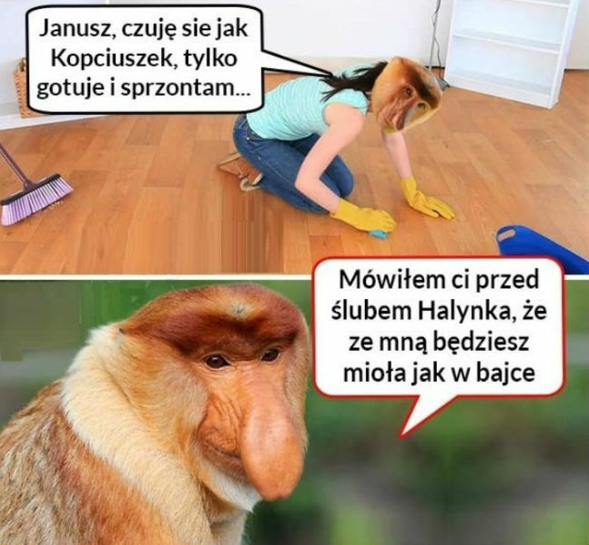 Życie jak w bajce