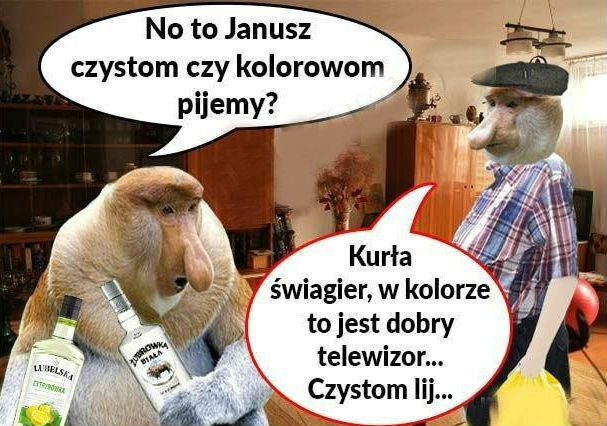 Janusz z dylematem życia
