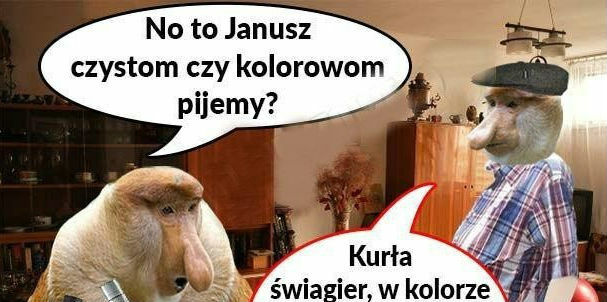 Janusz z dylematem życia